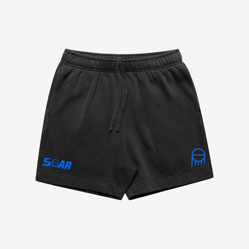Apliiq Icon Shorts Men's Relaxed Fit CVC Fleece