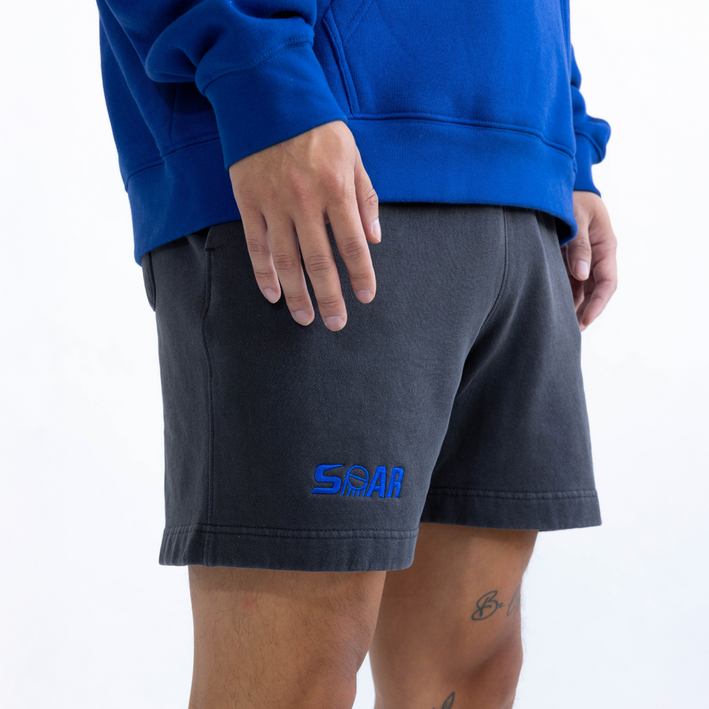 Apliiq Icon Shorts Men's Relaxed Fit CVC Fleece