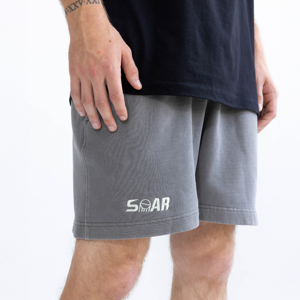 Apliiq Icon Shorts Men's Relaxed Fit CVC Fleece
